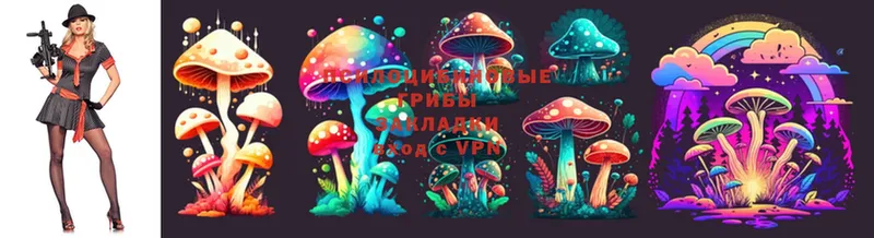 Галлюциногенные грибы Magic Shrooms  Спасск-Рязанский 